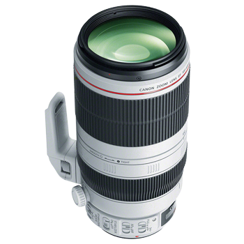 Canon EF 100-400mm best budget lens for wildlife photography canon