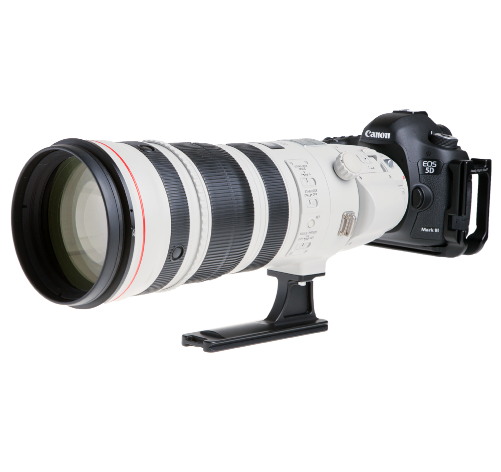 best budget lens for wildlife photography canon