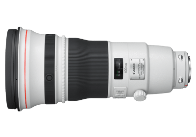 Canon EF 400mm - best canon lens for bird photography